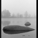 Podzim I./ Podivné ryby